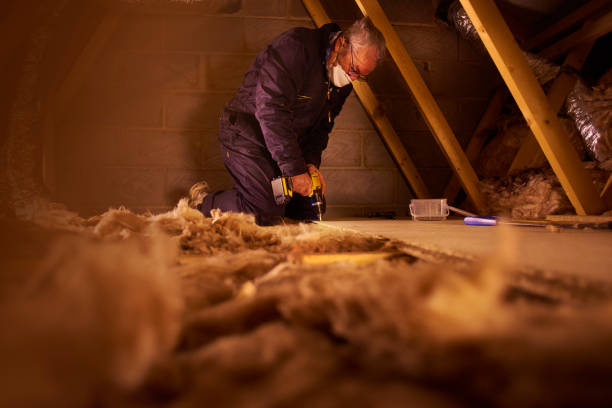 Best Cellulose Insulation in Rigby, ID