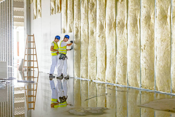 Best Specialized Insulation Services in Rigby, ID